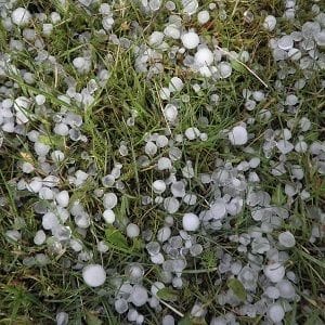 Hailstorm claims add up for Suncorp Hailstorm claims add up for Suncorp